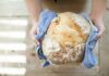 Domácí chléb: Upečte to nejlepší pečivo z vlastního kvásku