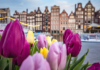 Proč je jaro ideální dobou k návštěvě Amsterdamu?